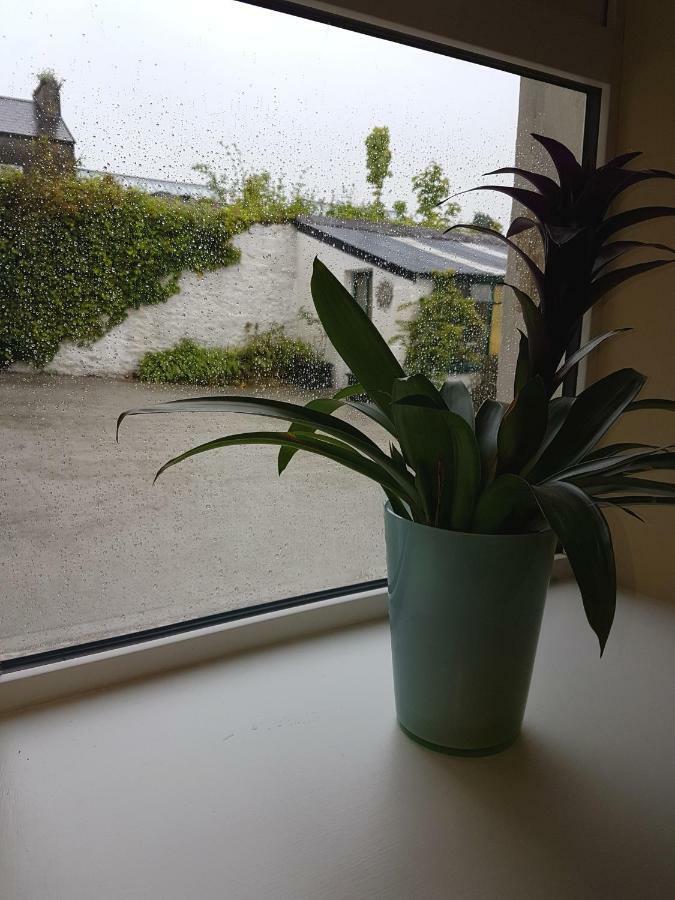 コークGlenbower Houseアパートメント エクステリア 写真