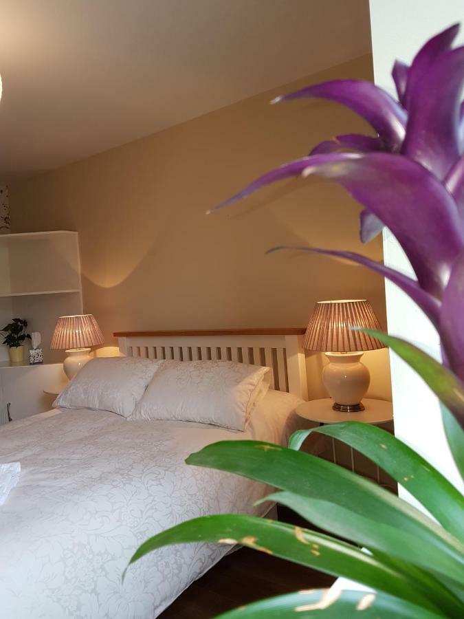 コークGlenbower Houseアパートメント エクステリア 写真