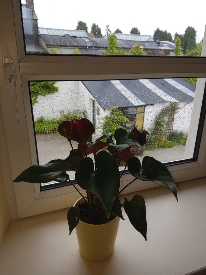 コークGlenbower Houseアパートメント エクステリア 写真